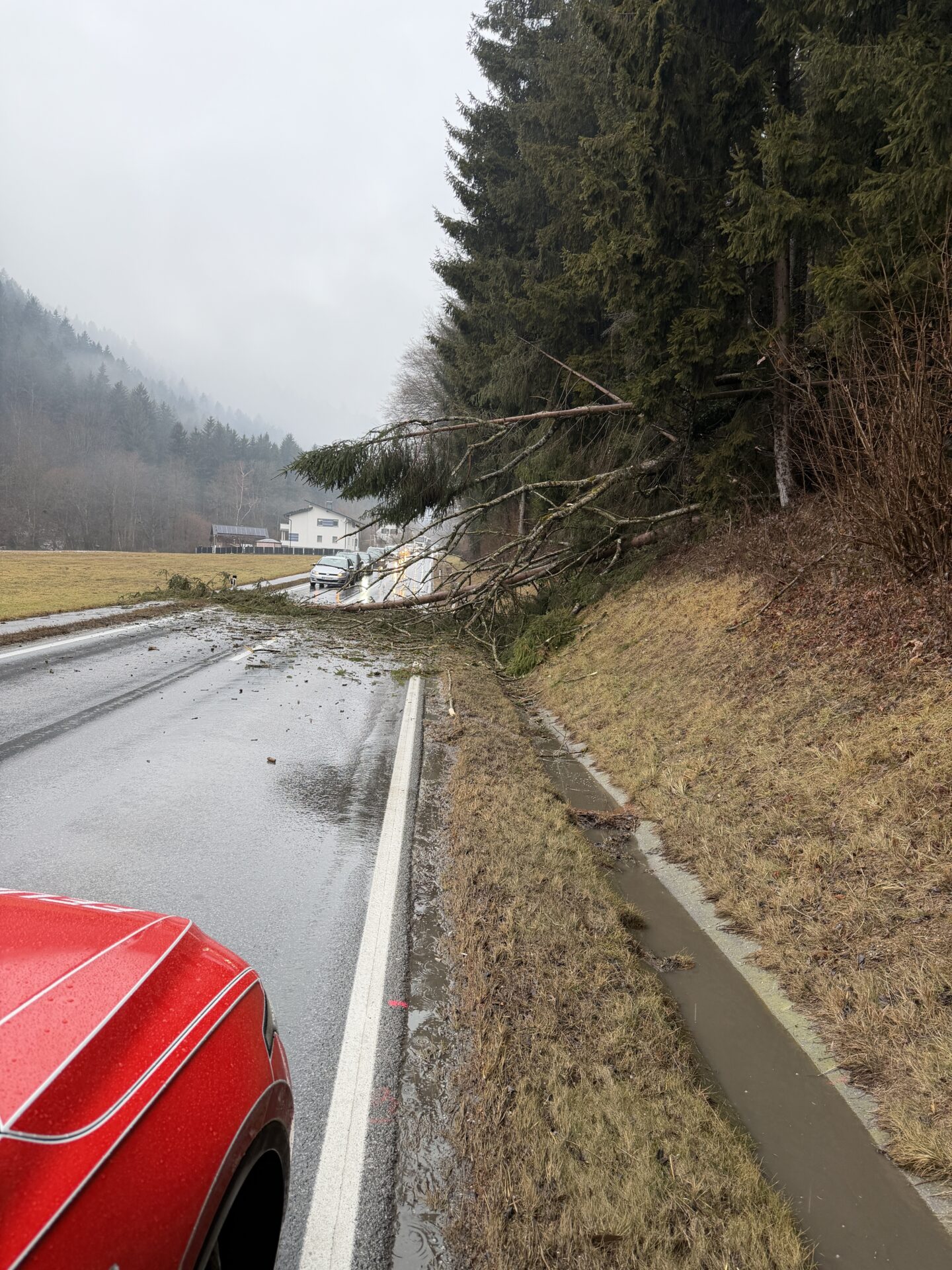 29.01.2026 – Umgestürzte Bäume auf der L416