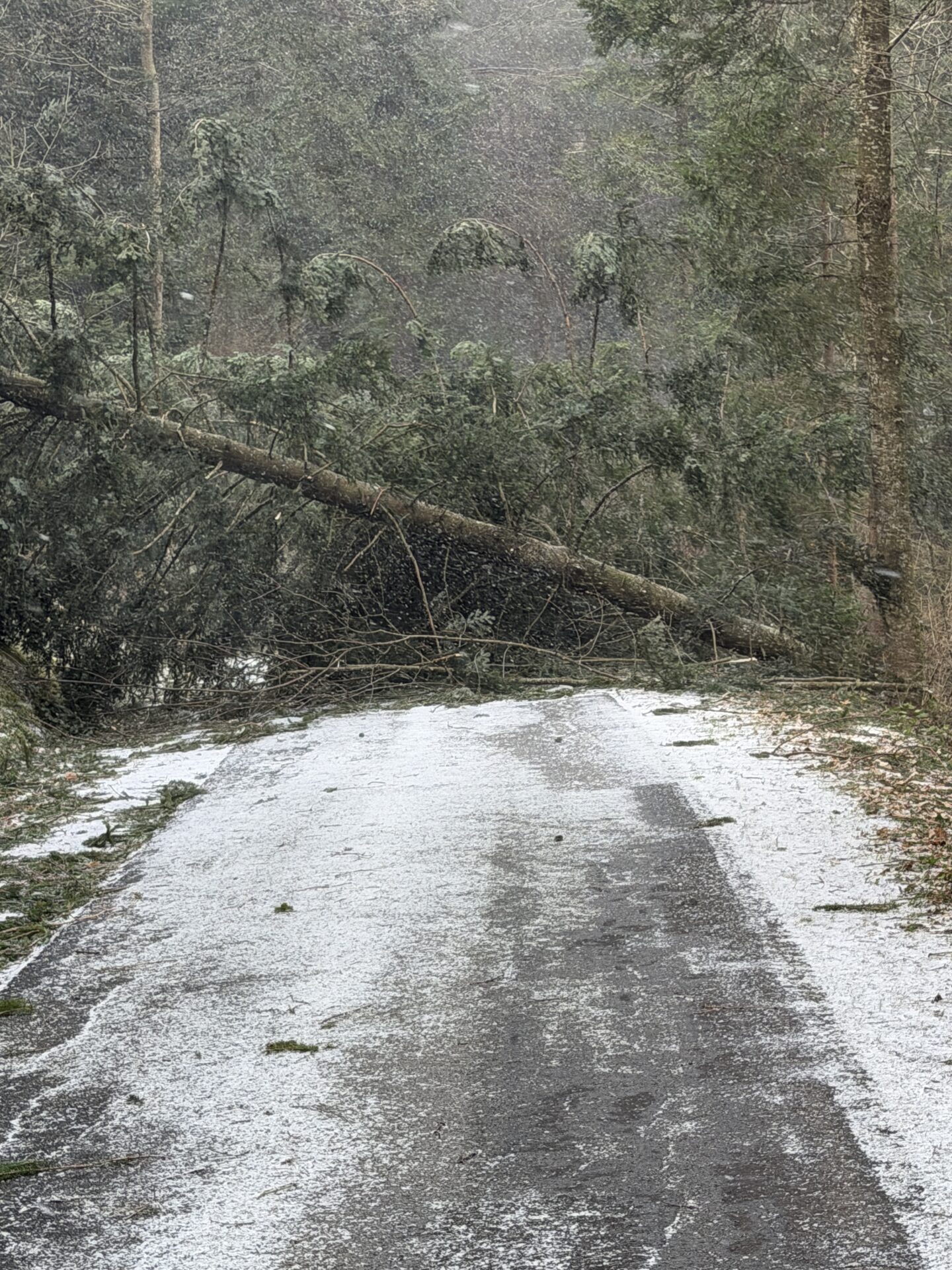 27.03.2026 – Sturmtief „Marlies“